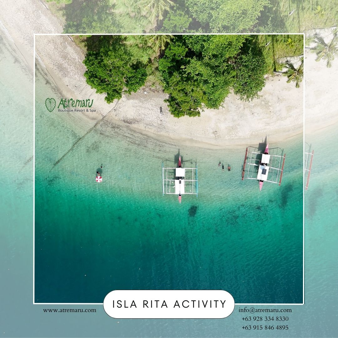 Activity 5